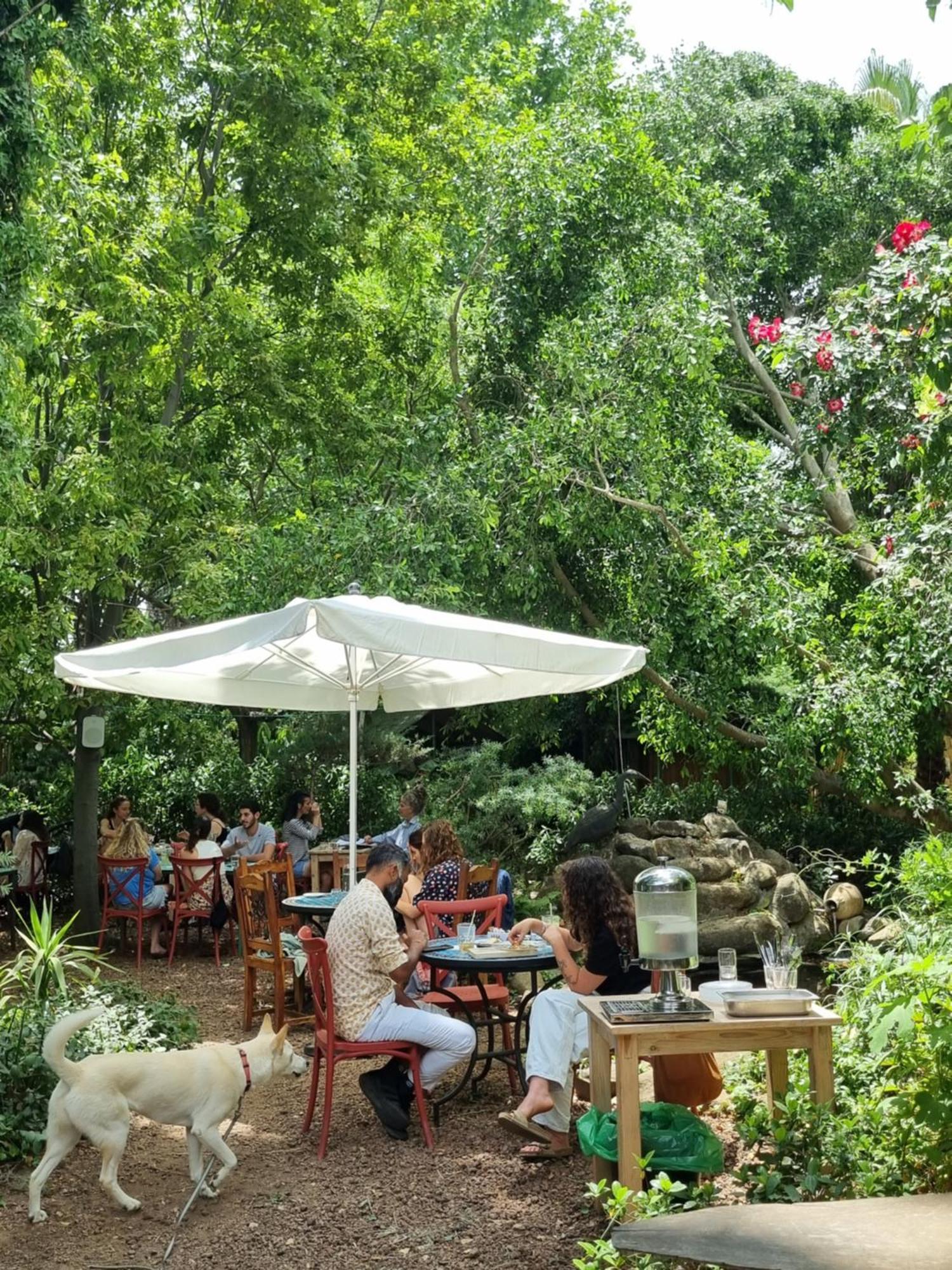 Hotel כפר נופש ויטראז' נופש וספא Beit Hillel Exterior foto